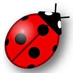 Coccinelle