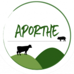 APORTHE 2