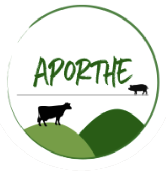 APORTHE 2