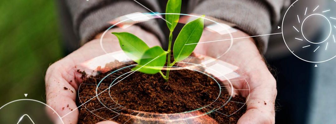 Carrefour de l’Innovation Agronomique (CIAG)