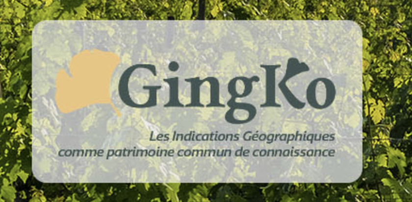 Le site du projet Gingko est en ligne !